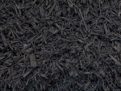 Mulch long island